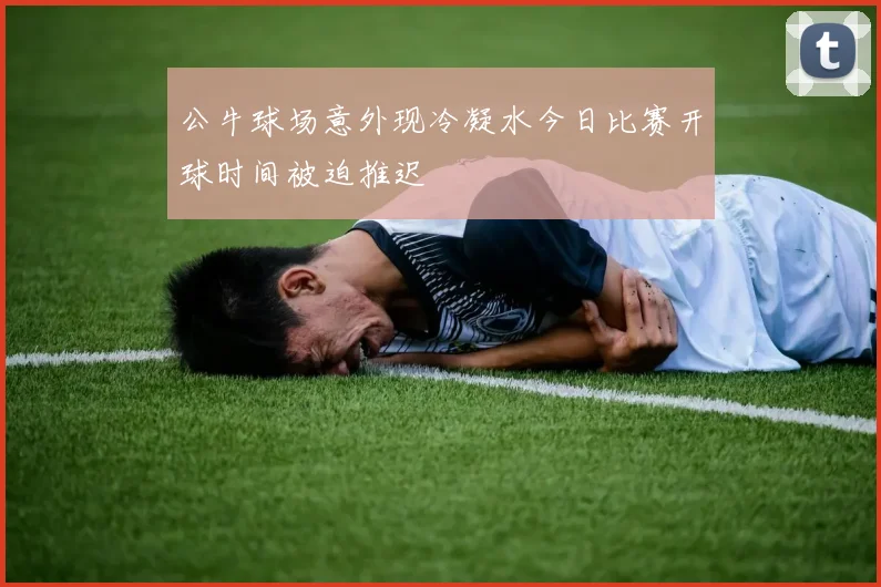 公牛球场意外现冷凝水今日比赛开球时间被迫推迟