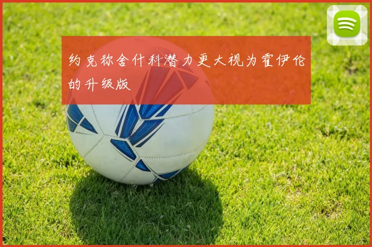 约克称舍什科潜力更大视为霍伊伦的升级版